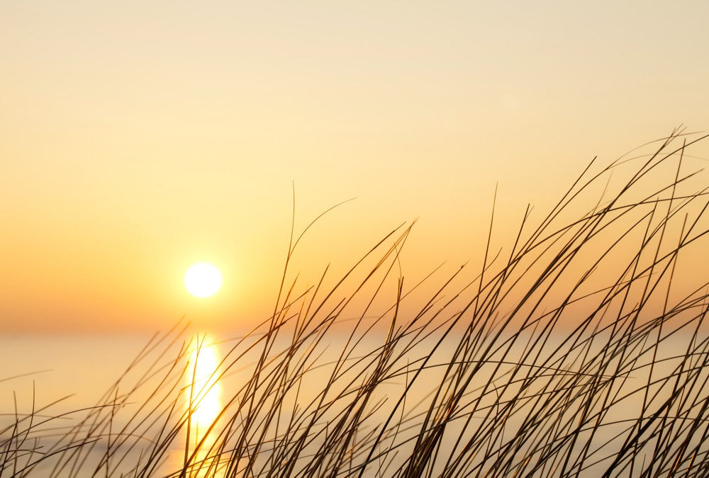 Fototapete Nr. 3287 - Sonnenuntergang über den Dünen