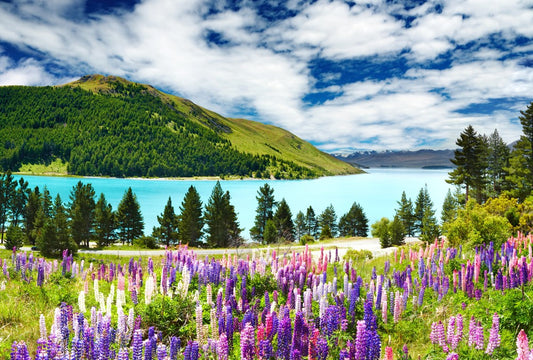 Fototapete Nr. 3290 - Bergsee in Neuseeland