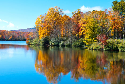 Fototapete Nr. 3292 - Indian Summer am Blue Ridge Lake, North Carolina