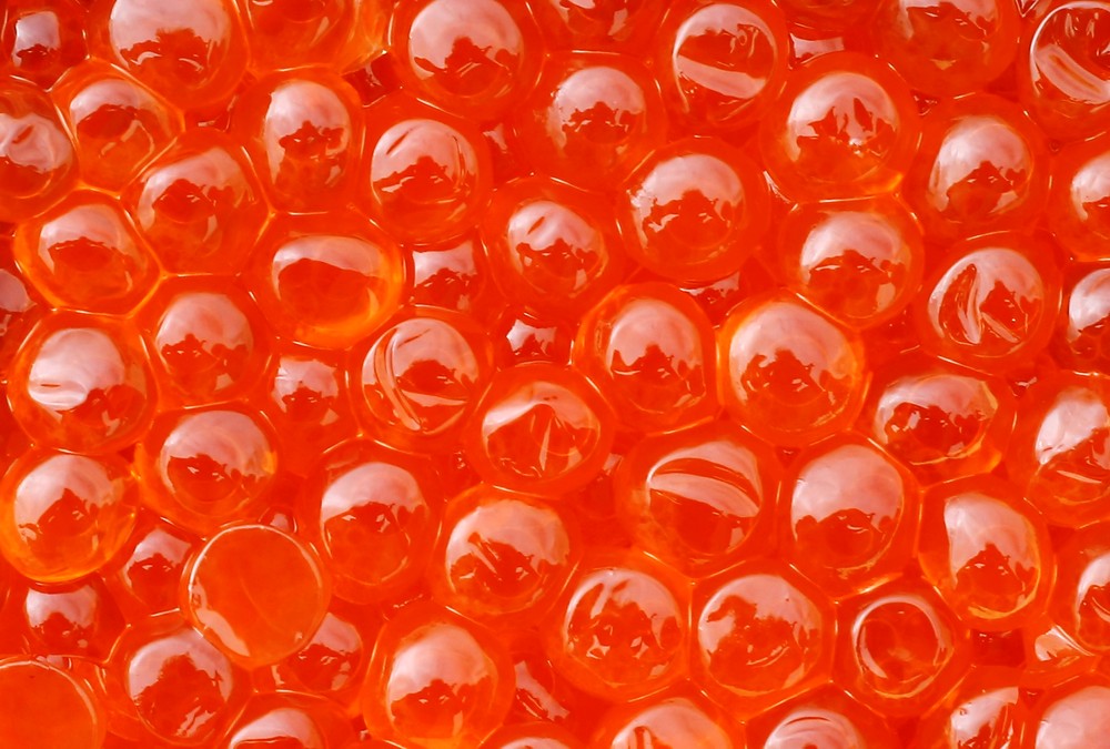 Fototapete Nr. 3362 - Red Caviar