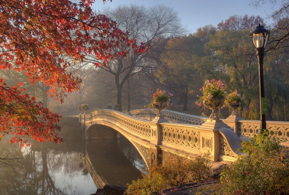 Fototapete Nr. 3368 - Bow bridge, Central Park in N.Y.C.