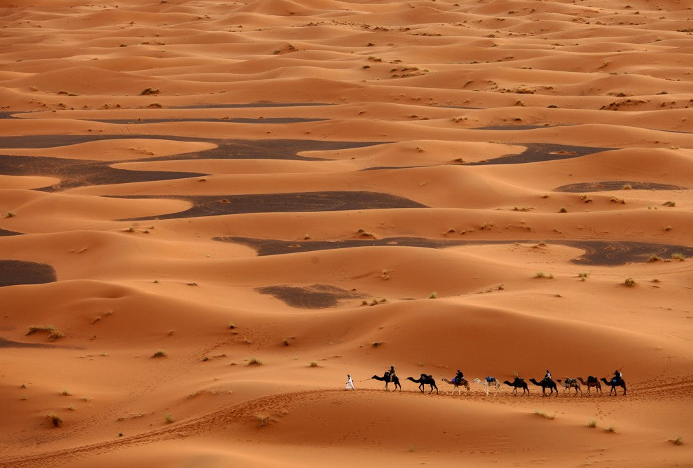 Fototapete Nr. 3401 - Camel caravan