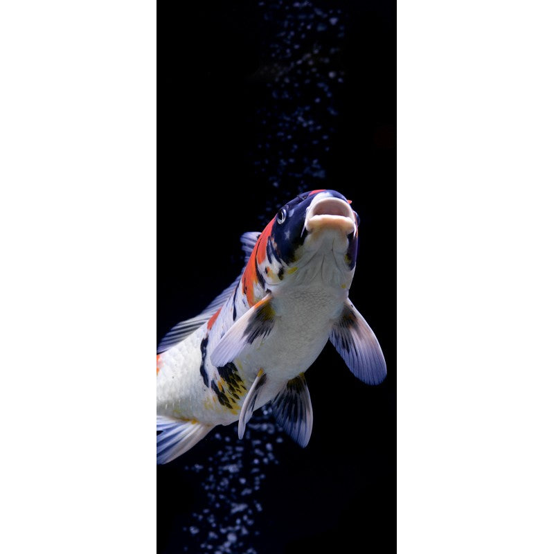 Türtapete Nr. 3410 - White Koi