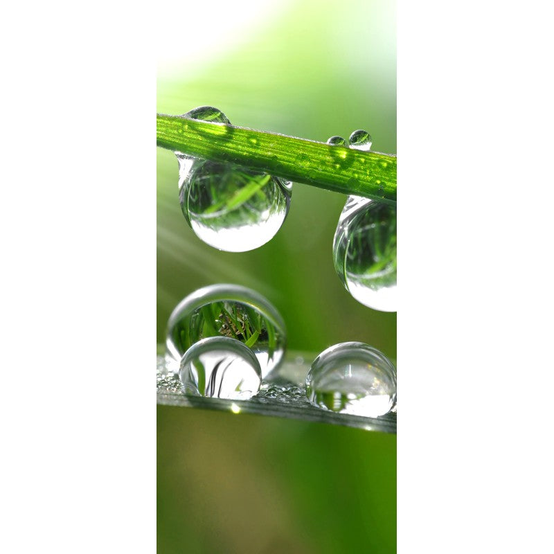 Türtapete Nr. 3448 - Grass Drops