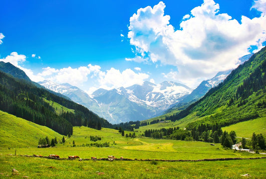 Fototapete Nr. 3528 - Hohe Tauern