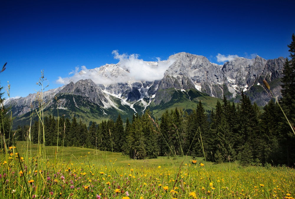 Fototapete Nr. 3529 - Hochkönig Alm