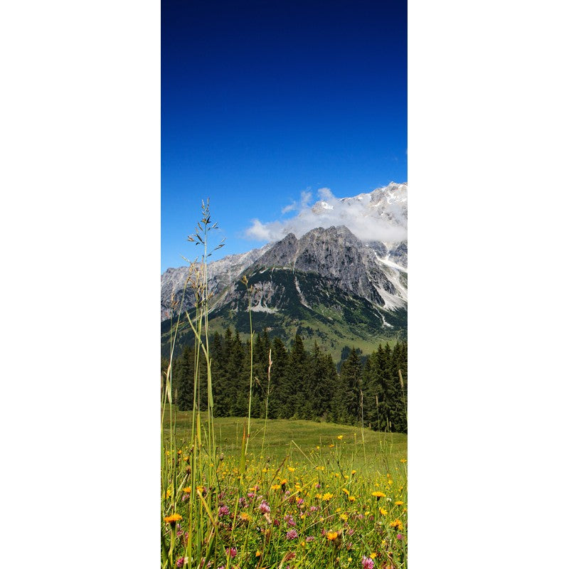 Türtapete Nr. 3529 - Hochkönig Alm