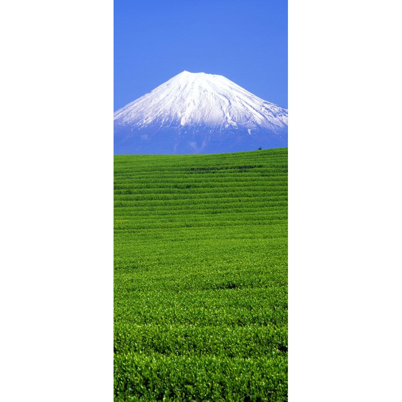 Türtapete Nr. 3537 - Fuji green fields