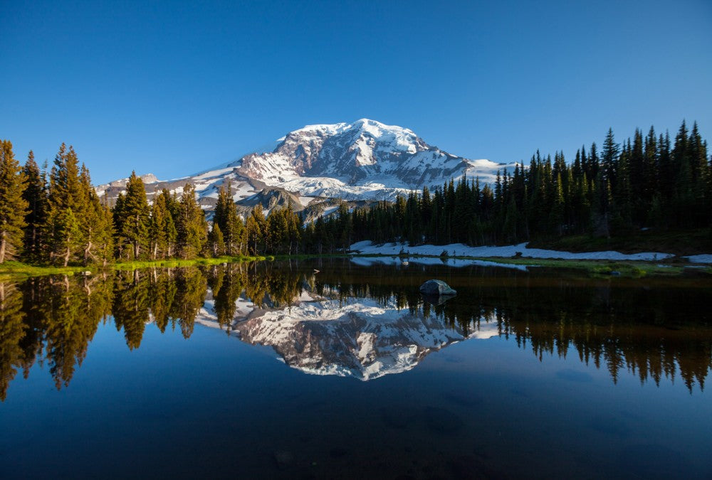 Fototapete Nr. 3540 - Mt. Rainier