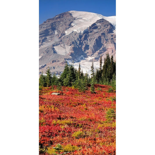 Türtapete Nr. 3541 - Mt. Rainier autumn