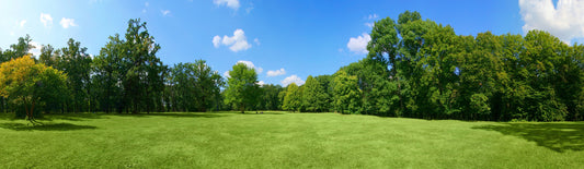 Panoramatapete Nr. 3569 - Green Park