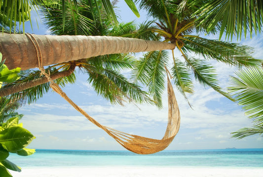 Fototapete Nr. 3591 - Coconut hammock