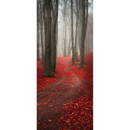 Türtapete Nr. 3600 - Herbstweg