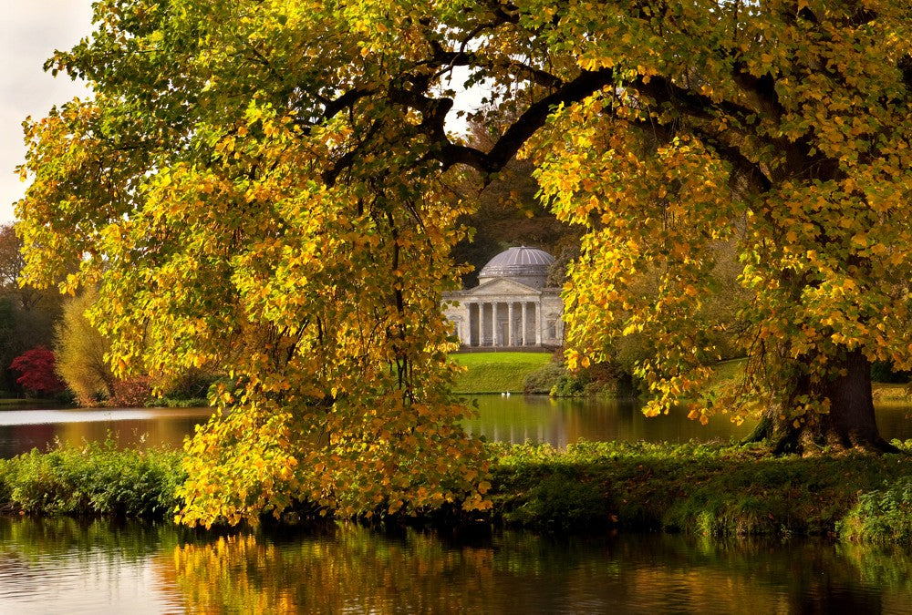 Fototapete Nr. 3621 - Stourhead garden