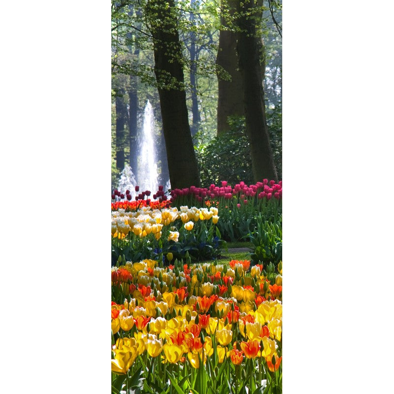 Türtapete Nr. 3622 - Tulip garden