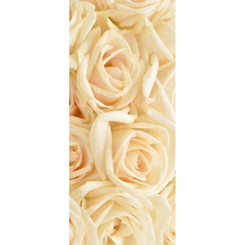 Türtapete Nr. 3656 - Cream Roses