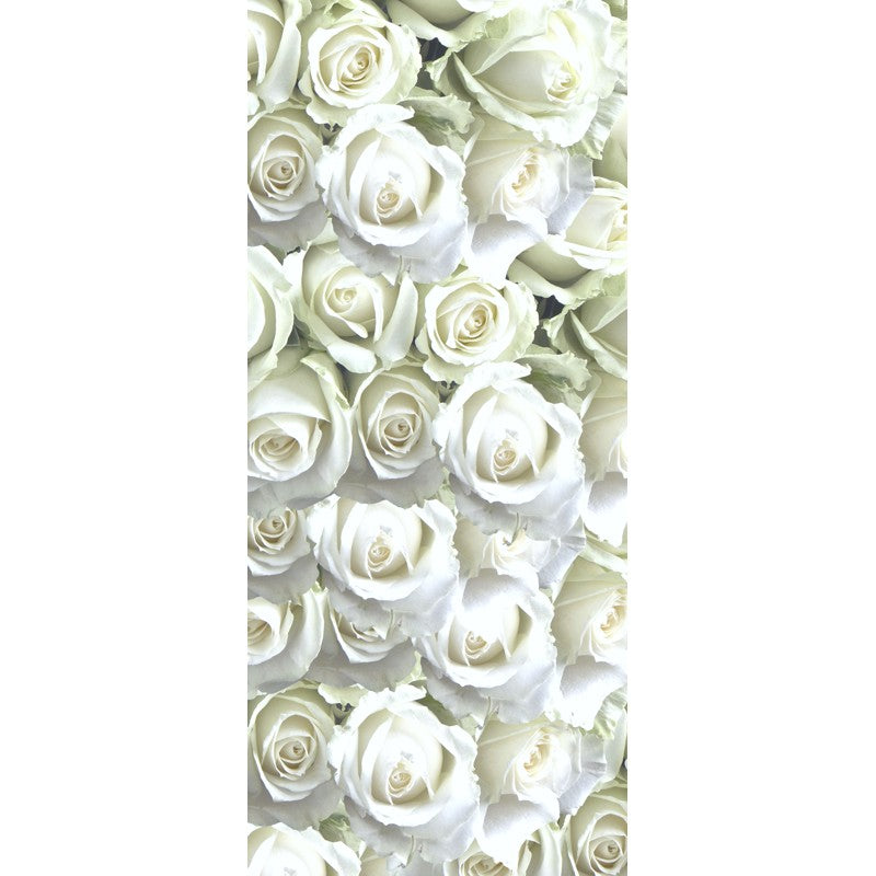 Türtapete Nr. 3659 - White Roses