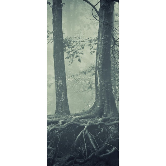 Türtapete Nr. 3754 - Mystic forest I