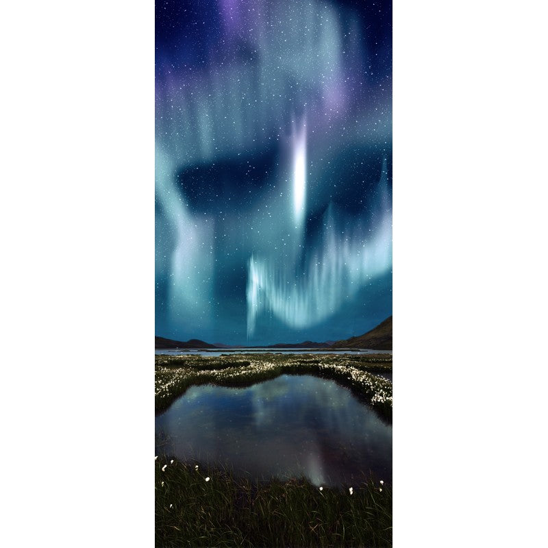 Türtapete Nr. 3769 - Northern lights