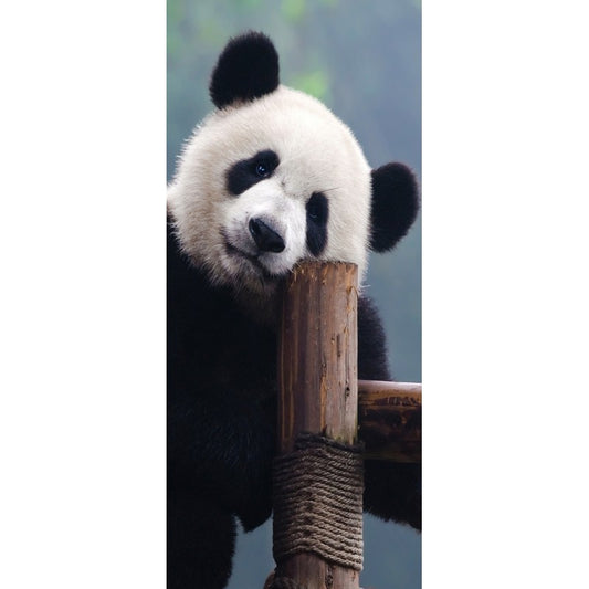 Türtapete Nr. 3858 - Panda