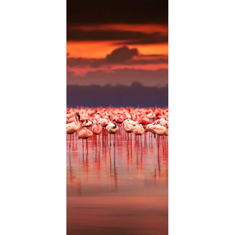 Türtapete Nr. 3859 - Flamingos