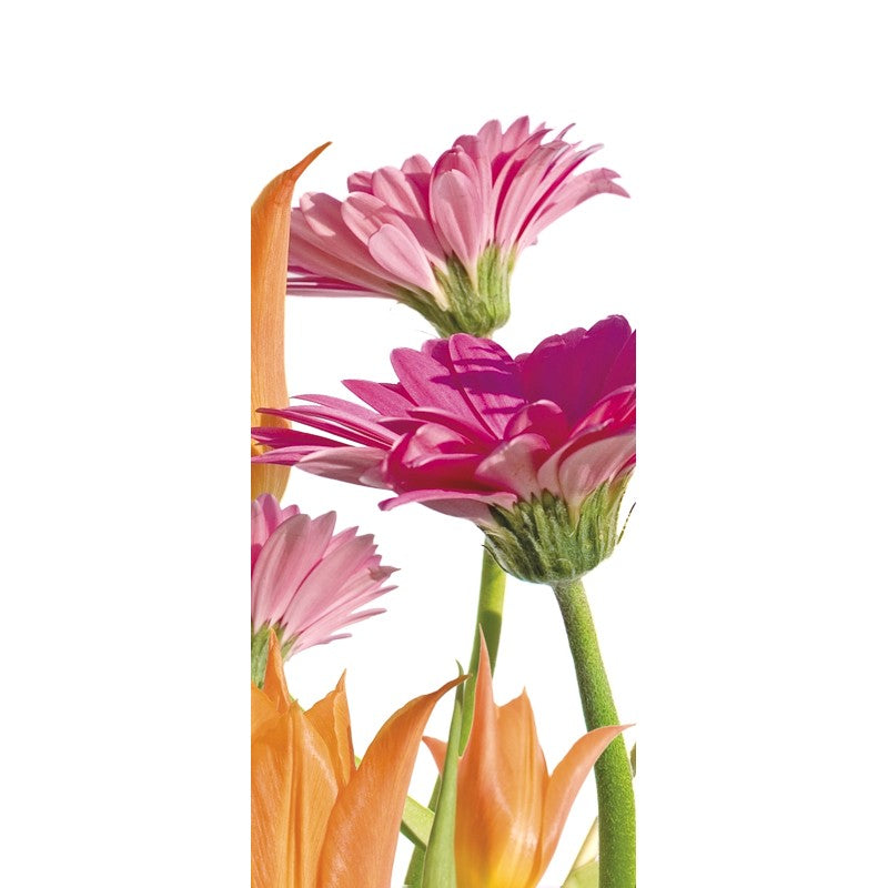 Türtapete Nr. 4046 - Tulpen & Gerbera