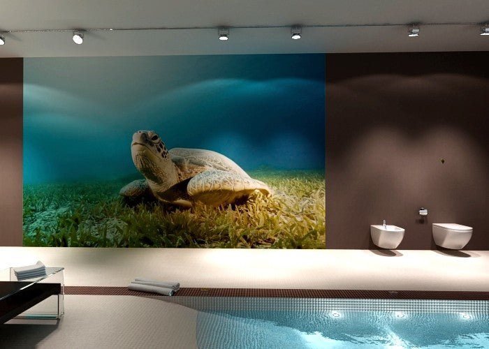 Fototapete Nr. 4442 - Turtle