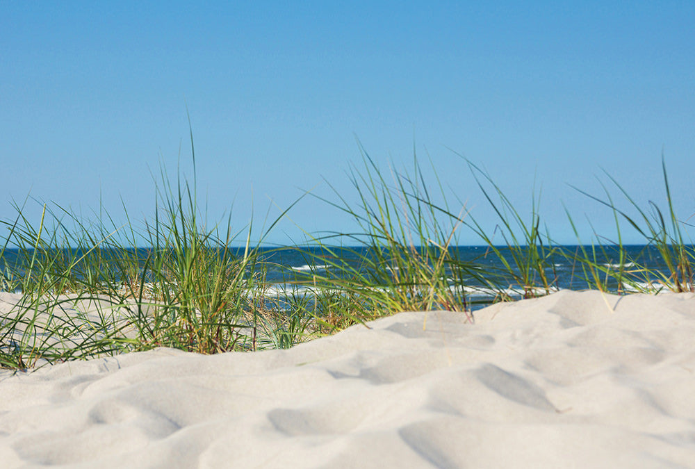 Fototapete Nr. 2922 - Tag am Meer