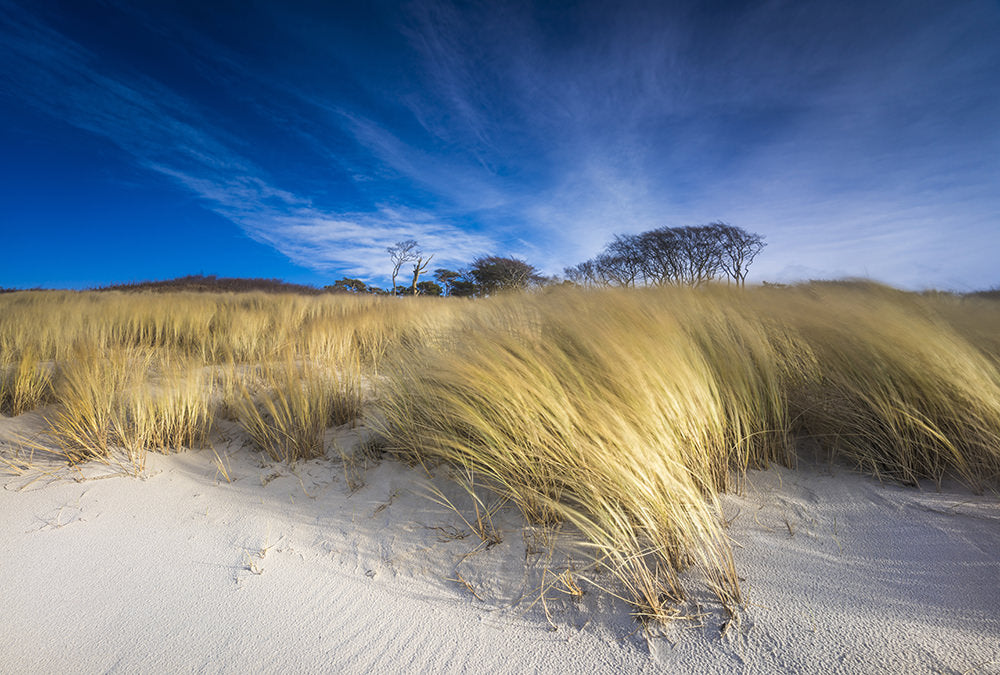 Fototapete Nr. 2924 - Strandspaziergang