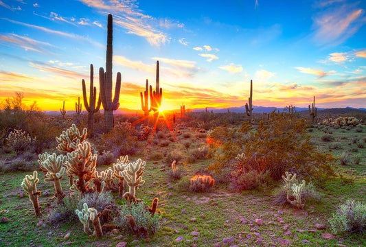 Fototapete Nr. 3047 - Arizona Sunrise