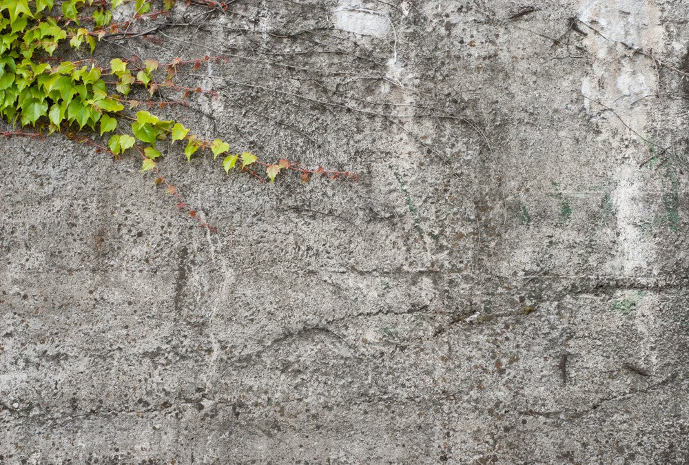 Fototapete Nr. 3068 - Vintage Beton I