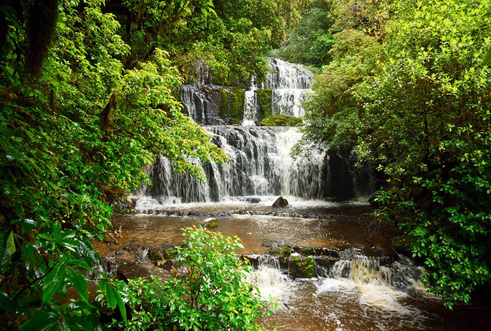 Fototapete Nr. 4035 - Purakaunui Falls