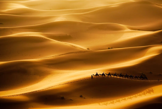 Fototapete Nr. 4047 - Golden Sahara