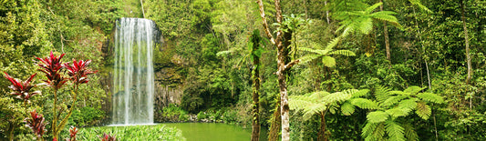 Panoramatapete Nr. 3207 - Millaa Millaa falls, Australien